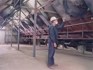 Large dryers at PCA's Kingaroy plant remove moisture from the crop