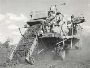 history-thresher
