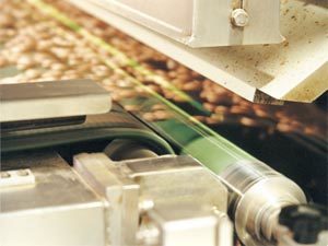 Lasers are used for colour sorting at PCA's Kingaroy processing centre