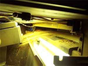 Blue, red and infra-red lasers scan for defective peanuts and remove them from the final product stream